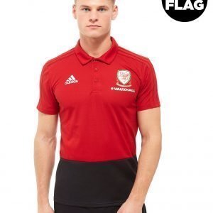 Adidas Fa Wales 2018 Polo Shirt Punainen