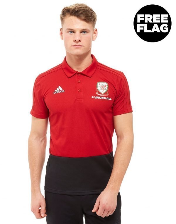 Adidas Fa Wales 2018 Polo Shirt Punainen