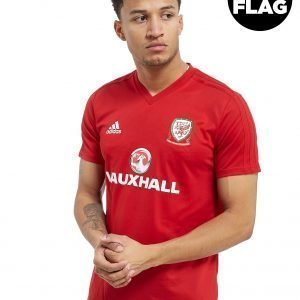 Adidas Fa Wales 2018/19 Training Shirt Punainen