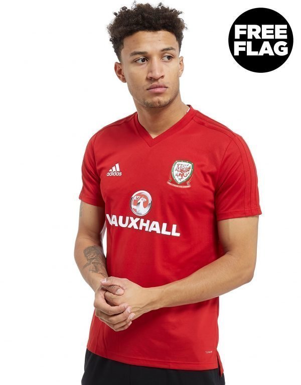 Adidas Fa Wales 2018/19 Training Shirt Punainen