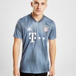 Adidas Fc Bayern Munich 2018/19 Third Shirt Harmaa