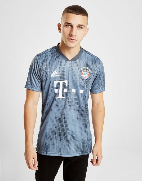 Adidas Fc Bayern Munich 2018/19 Third Shirt Harmaa