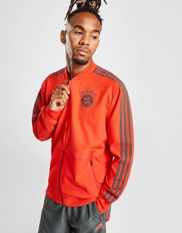 Adidas Fc Bayern Munich Presentation Jacket Punainen