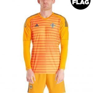 Adidas Northern Ireland 2018/19 Home Goalkeeper Shirt Oranssi