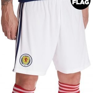 Adidas Scotland 2018/19 Home Shorts Valkoinen