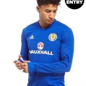 Adidas Scotland Fa 2018 Training Top Sininen