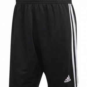 Adidas Tan Jqd Shorts Jalkapalloshortsit