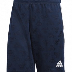 Adidas Tan Jqd Shorts Jalkapalloshortsit