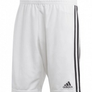 Adidas Tan Jqd Shorts Jalkapalloshortsit