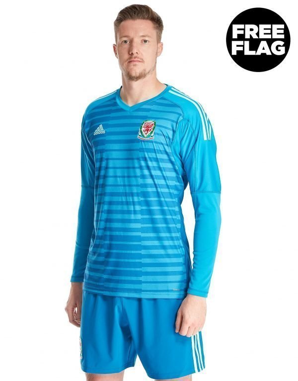 Adidas Wales 2018/19 Home Goalkeeper Shirt Aqua