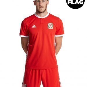 Adidas Wales 2018/19 Home Shirt Punainen