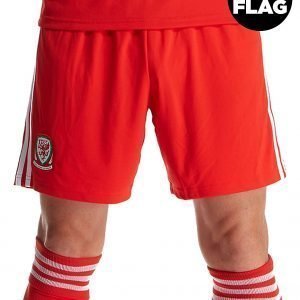 Adidas Wales 2018/19 Home Shorts Punainen