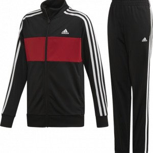 Adidas Yb Tiberio Suit Setti