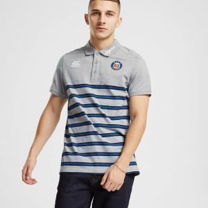 Canterbury Bath Rugby Stripe Polo Paita Harmaa