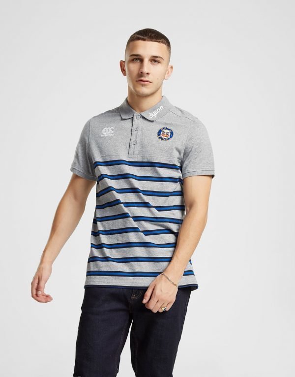 Canterbury Bath Rugby Stripe Polo Paita Harmaa