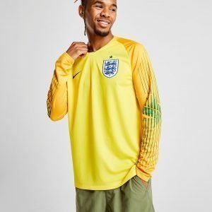 Nike England 2018 Home Goalkeeper Shirt Keltainen