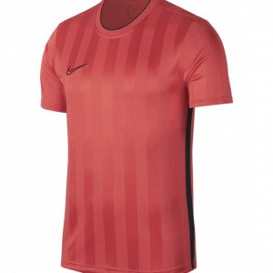 Nike Nk Brt Acdmy Top Treenipaita