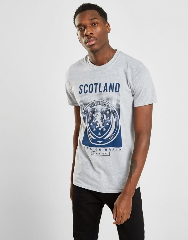 Official Team Scotland Fa Fade Short Sleeve T-Shirt Harmaa