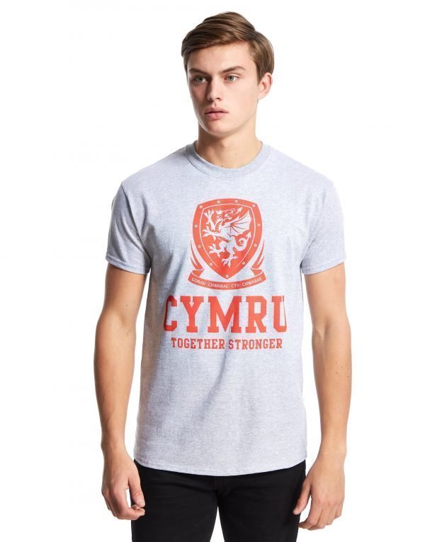 Official Team Wales Cymru T-Shirt Grey Marl