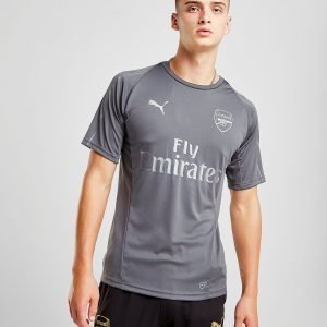 Puma Arsenal Fc Training Shirt Harmaa