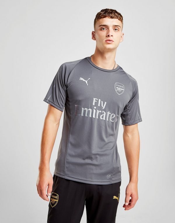 Puma Arsenal Fc Training Shirt Harmaa