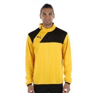 Puma Esquadra 1/4 Zip Training Top Jalkapallopaita Keltainen