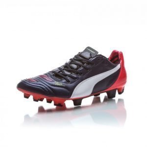 Puma Evopower 1.2 Leather Fg Jalkapallokengät Nurmelle Lila