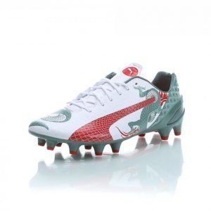 Puma Evospeed 1.3 Graphic Fg Jalkapallokengät Nurmelle Valkoinen