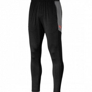 Puma Ftblnxt Pant Treenihousut