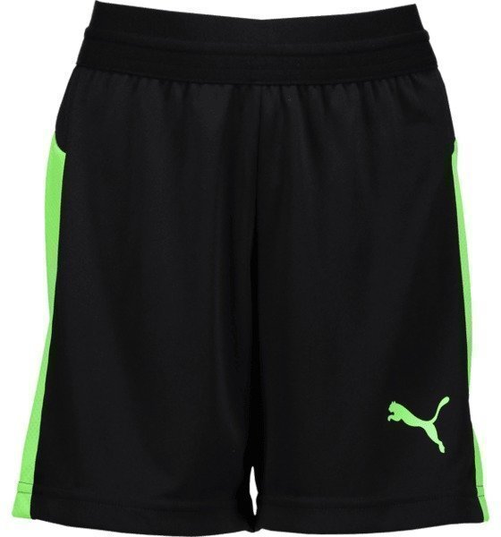 Puma J Evotrg Shorts It Jalkapalloshortsit