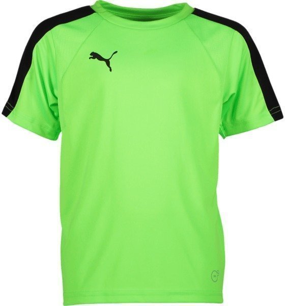 Puma J Evotrg Training Tee It Jalkapallopaita